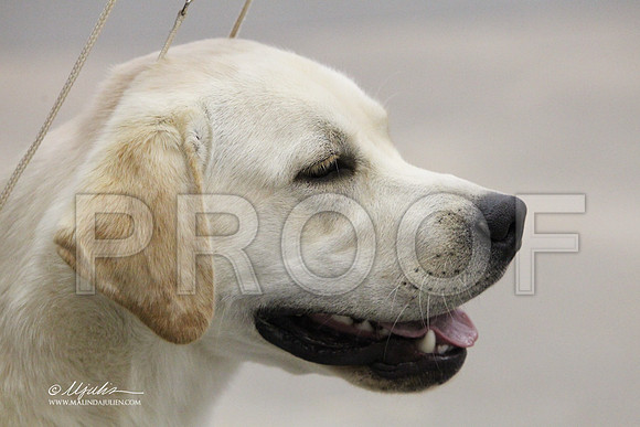 Lab-7670LR