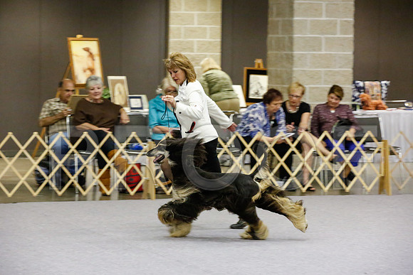 _JJ_8343-AfgBeltonOct2014-HR3