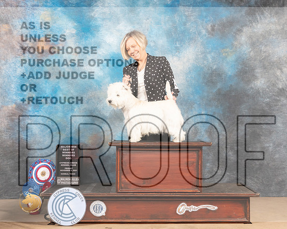 West Highland White Terrier #5 Fri BOW Judge Duff Harris_MMJ_2389-CCKC2021-HR3
