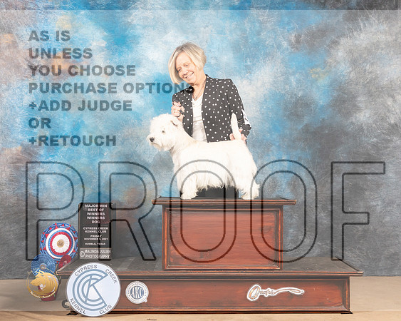 West Highland White Terrier #5 Fri BOW Judge Duff Harris_MMJ_2391-CCKC2021-HR3
