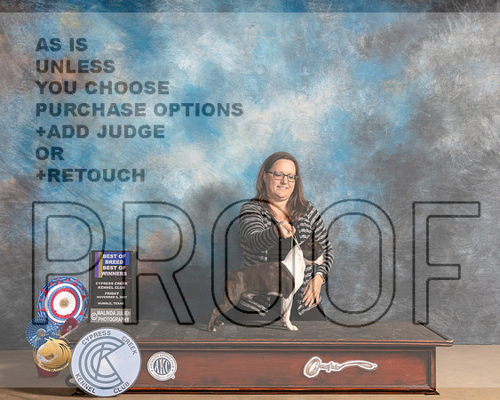 Boston Terrier #7 Fri BOBBOWWD Judge SHALISA NEELY_MMJ_2416-CCKC2021-HR3