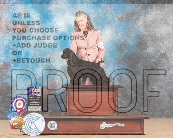 Cocker Spaniel Black #20 Fri WB Judge Nena Dee_MMJ_2422-CCKC2021-HR3