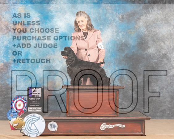 Cocker Spaniel Black #20 Fri WB Judge Nena Dee_MMJ_2424-CCKC2021-HR3