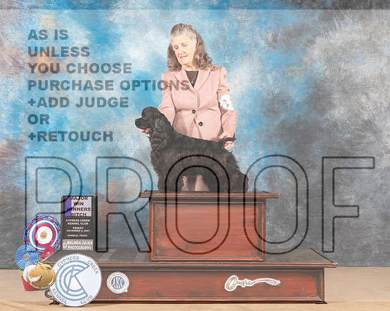 Cocker Spaniel Black #20 Fri WB Judge Nena Dee_MMJ_2428-CCKC2021-HR3