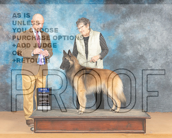 Belgian Tervuren #9 Sun BOW Judge Butch Schulman_JP_1726e_Glen Rose 2024-HR3