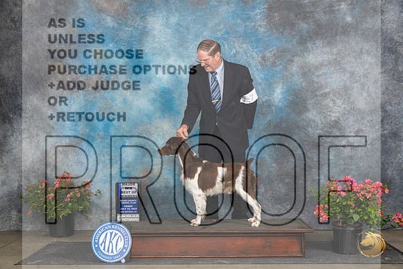 Brittany #7 Fri WDBOWM Judge Elizabeth ‘Beth’ Sweigart__JP_4421_San Antonio_2024_HR3