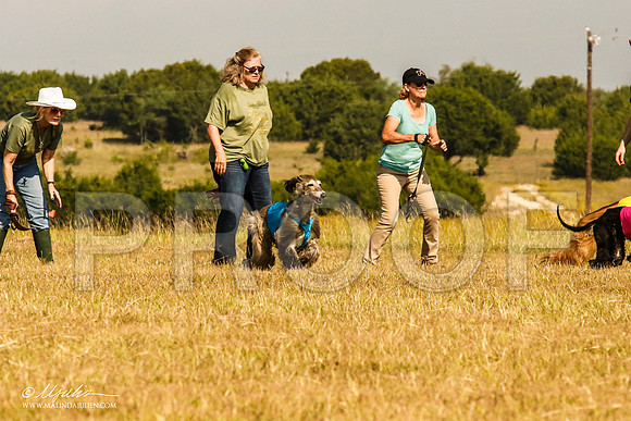 _MJ_4565-AfgBeltonOct2014-HR3