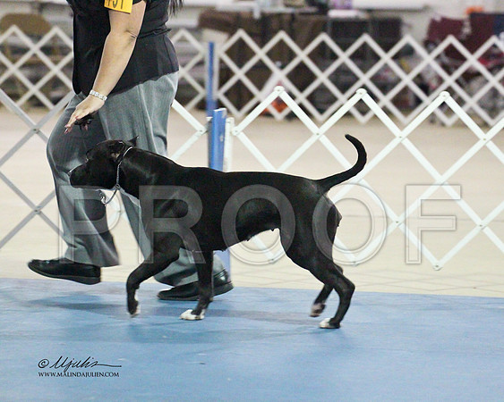 APBT-9645