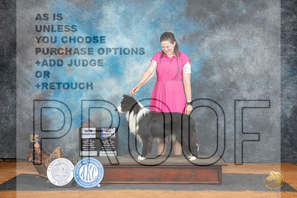 Border Collie #5 Sat WDBOWCH Judge Karen Hynek__JP_7753_MARSHALL_2024_HR3