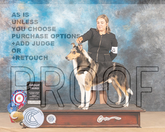 Collie Smooth #5 Fri G3 Judge MARIA (LILY) RUSSELL _MMJ_2582-CCKC2021-HR3