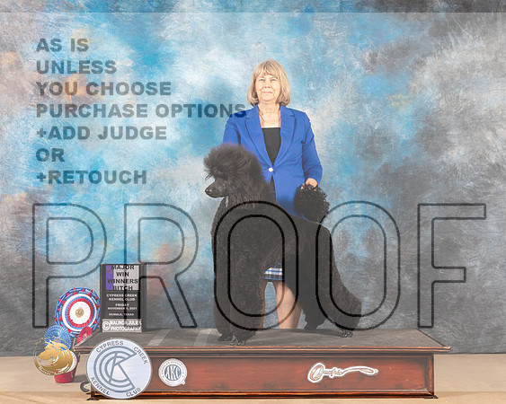 Poodle Std #24 Fri WB Judge SHALISA NEELY _MMJ_2640-CCKC2021-HR3