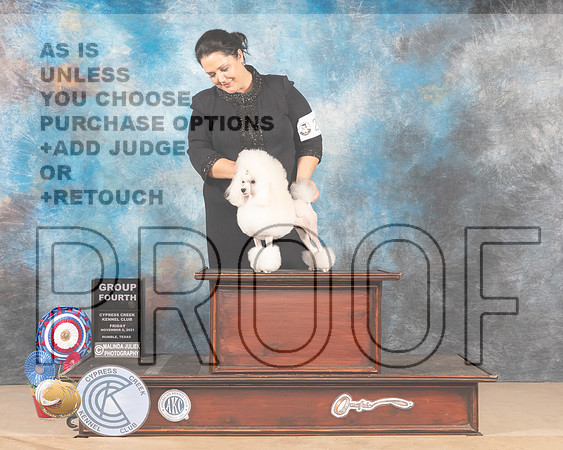 Poodle Toy #24 Fri G4 Judge SHALISA NEELY _MMJ_2616-CCKC2021-HR3