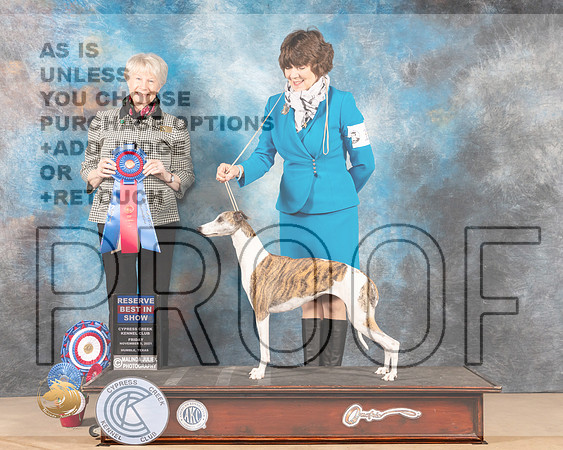 Whippet #18 Fri RBIS Judge NENA DEE _MMJ_2655-CCKC2021-HR3