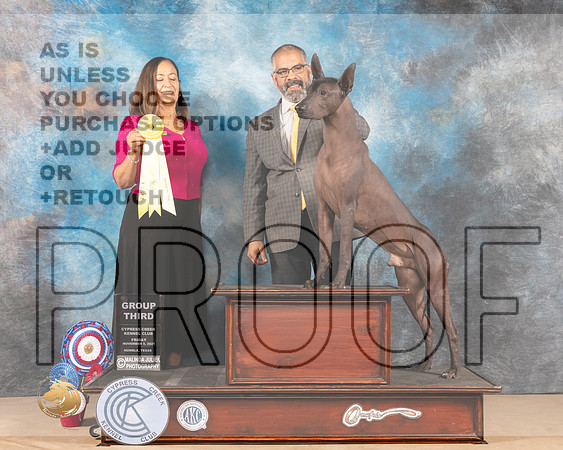 Xolo #5 Fri G3 Judge SHALISA NEELY _MMJ_2627-CCKC2021-HR3