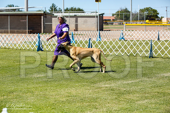 _JN_6389-AlamogordoOct2014-HR3