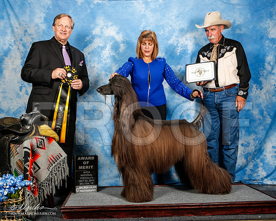 _ST_4612-2-AfgBeltonOct2014-HR3