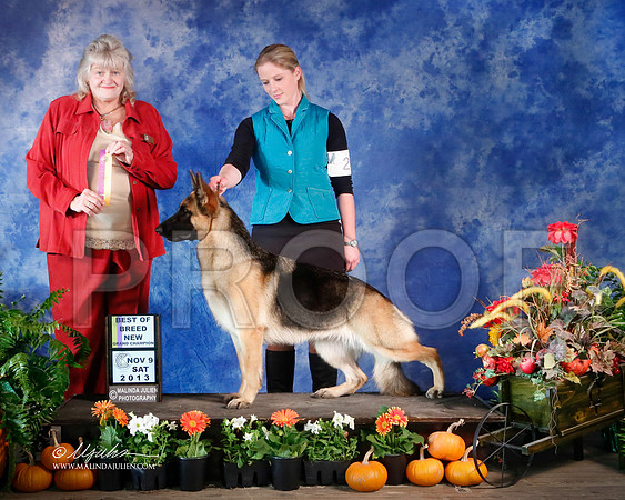 GSD-4364-HstnNov13-HR