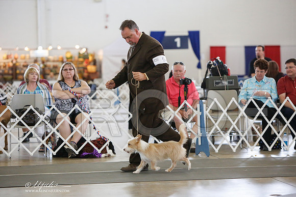 _JJ_2890-DallasJul2014-HR3