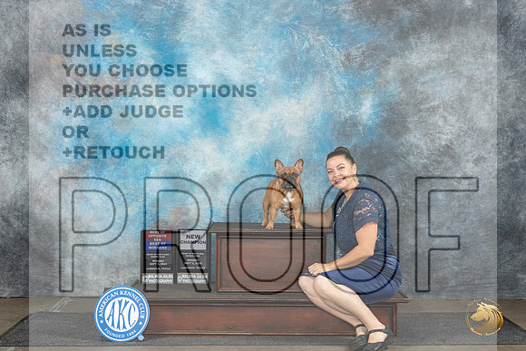 French Bulldog #20 Mon BOWBOSCH Judge Ann Bolus__JP_4359_Lubbock_2024_HR3