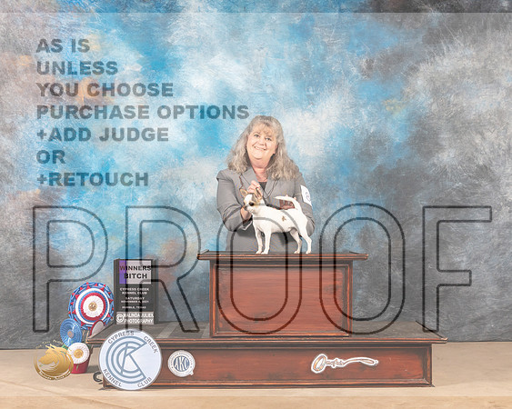 Chihuahua Smooth #8 Sat WB Judge Nena Dee_MMJ_2926-CCKC2021-HR3