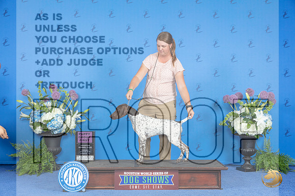 German Shorthaired Pointer #30 THUR BP G1 Judge Terri Burrows__JP_8179_Houston_2024_HR3