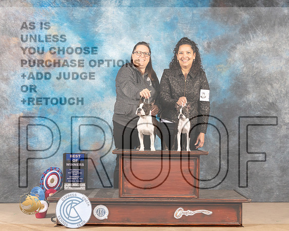 Boston Terriers #18_MMJ_3030-CCKC2021-HR3