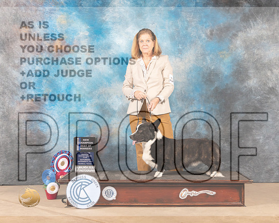 Cardigan Welsh Corgi #5 Sat BOW Judge JAMES S ALBRECHT_MMJ_3034-CCKC2021-HR3