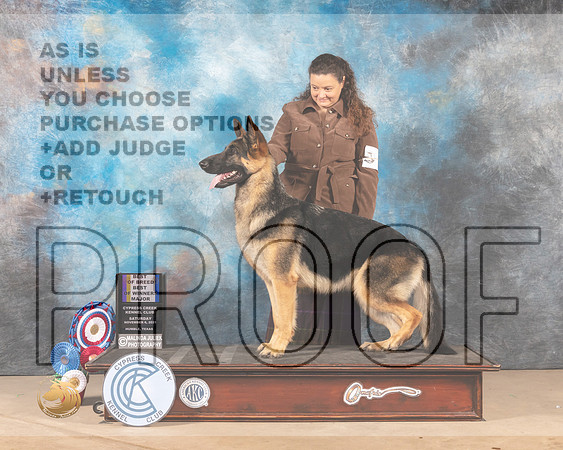 German Shepherd Dog #6 Sat WBBOWBOB Judge James Albrecht_MMJ_2982-CCKC2021-HR3