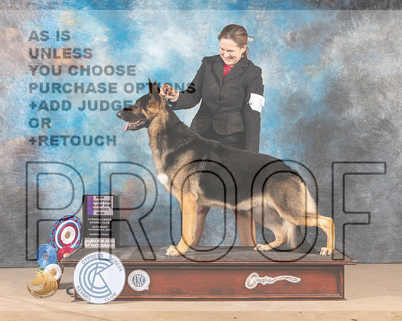 German Shepherd Dog #7 Sat WD Judge James Albrecht_MMJ_2989-CCKC2021-HR3