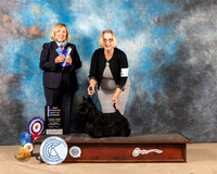 Scottish Terrier #16 Sat BOW Judge April Clyde