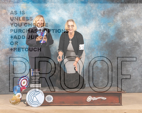 Scottish Terrier #16 Sat BOW Judge April Clyde_MMJ_2969-CCKC2021-HR3