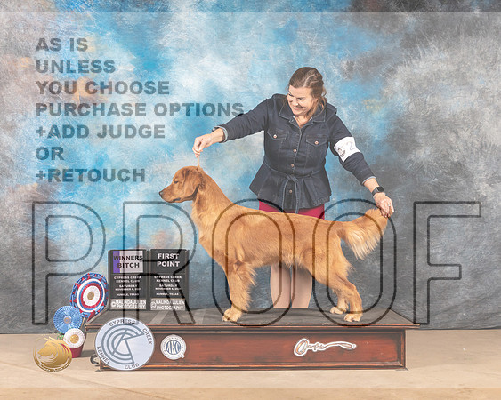 Golden Retriever #20 Sat WB Judge Barbara Burns_MMJ_3076-CCKC2021-HR3
