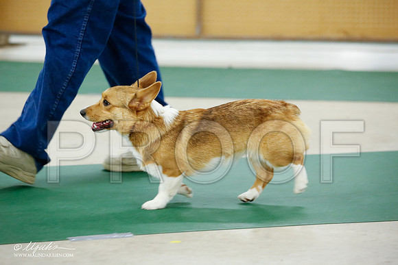 _JJ_4662-NrmnNov2014-HR3