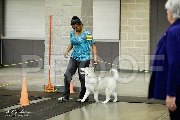 _RH_1781-BeltonJan2015IABCA-HR3