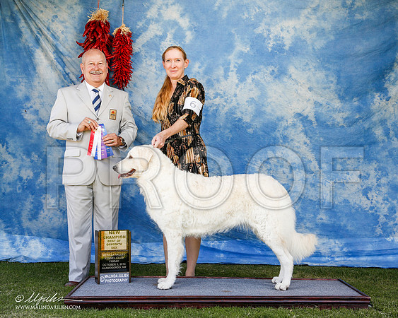 _ST_2667-2-AlamogordoOct2014-HR3