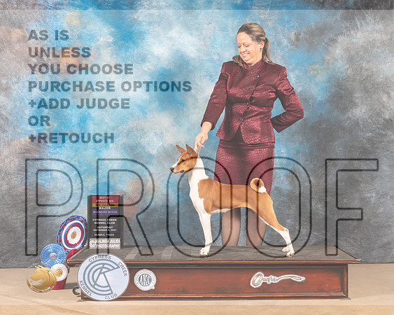 Basenji #14 Sat BOSWB Judge DEIRDRE PETRIE_MMJ_3187-CCKC2021-HR3