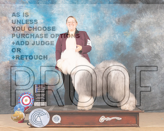 Old English Sheepdog #5 Sat BOW Judge JAMES S ALBRECHT_MMJ_3142-CCKC2021-HR3