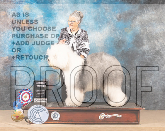 Old English Sheepdog #7 Sat Judge JAMES S ALBRECHT_MMJ_3250-CCKC2021-HR3
