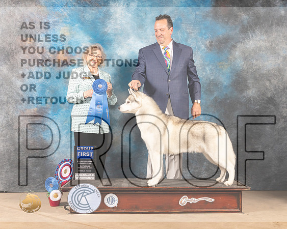 Siberian Husky #5 Sat G1 Judge Diane Landstrom_MMJ_3414-CCKC2021-HR3