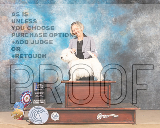 West Highland White Terrier #5 Sat BOW  Judge April Clyde_MMJ_3167-CCKC2021-HR3