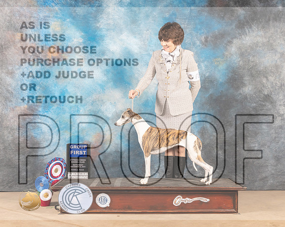 Whippet #18 Sat G1 Judge DEIRDRE PETRIE _MMJ_3448-CCKC2021-HR3