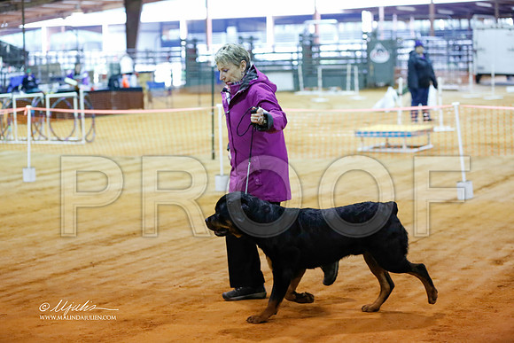 rott-4185-MrshlDec13-HR