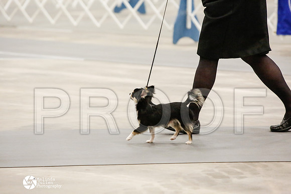 _CK_6740-AblnMay2014-web