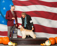 Spaniels Cocker ASCOB #7 Sat BOW MAJ Guidry Renee Judge Mr Laurence J Libeu
