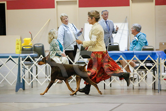 _JJ_5836-AmarilloSept2014-HR3