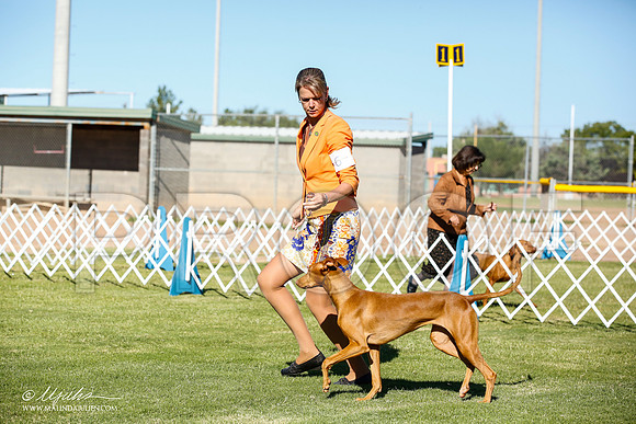 _JN_5698-AlamogordoOct2014-HR3