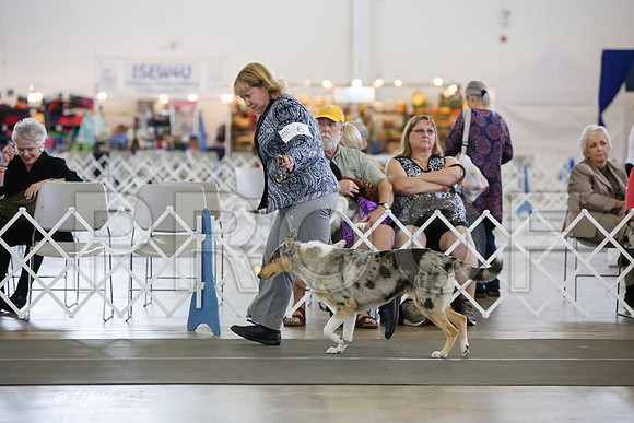 _JJ_3008-DallasJul2014-HR3
