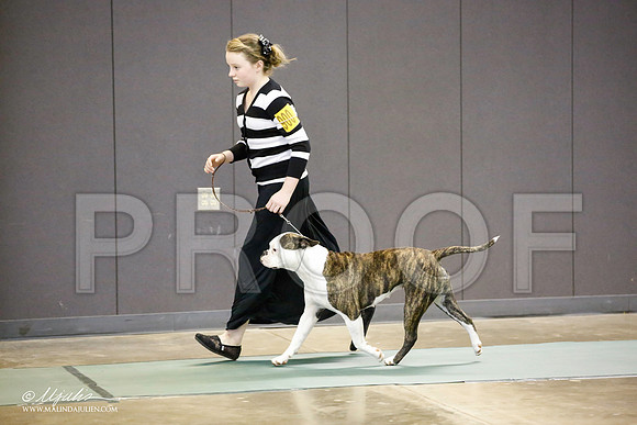 _JN_3920-BeltonJan2015-HR3