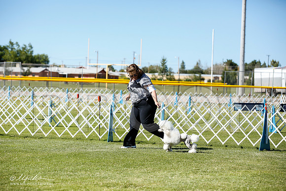 _JN_9400-AlamogordoOct2014-HR3