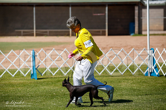 _JJ_8015-AlamogordoOct2014-HR3